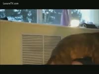 Dog fucking Miss fatty
